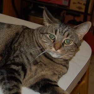 Meet your Posher, Barbara